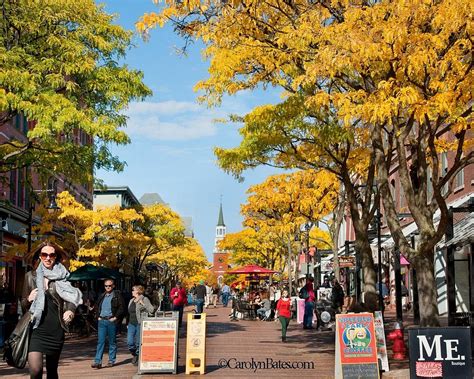 THE 30 BEST Things to Do in Burlington (2025) - Must-See Attractions