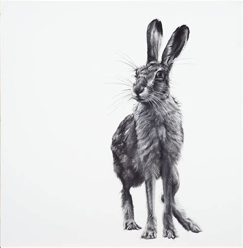 MARCH HARE - The Red Dot Gallery