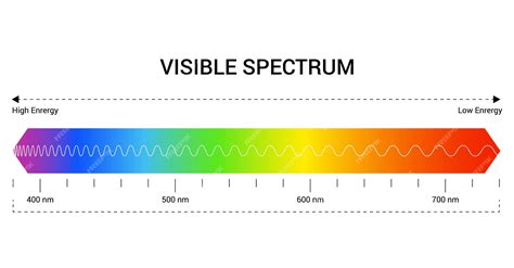 Premium Vector | Spectrum wavelength visible spectrum color range ...