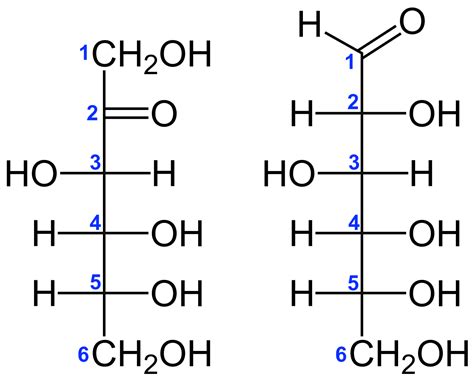 File:D-Fructose vs. D-Glucose Structural Formulae V.1.svg - Wikimedia Commons