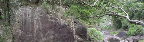 Conondale National Park - Camping, 4WD, Walk, Hikes, Waterfalls, Map QLD