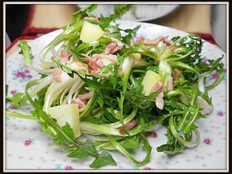 Les Meilleures Recettes de Pissenlit et Salades