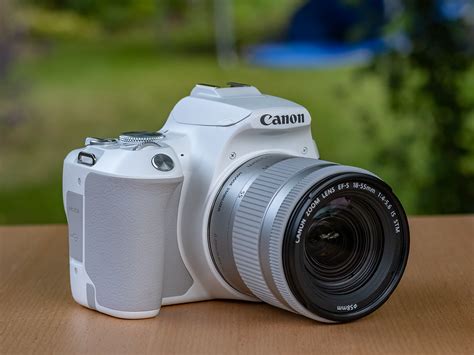 Canon EOS 250D review | Stuff