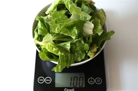 100 Grams: 100 Grams of Romaine Lettuce