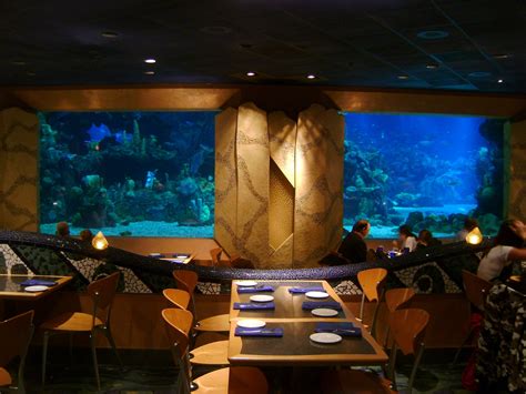 Review of Coral Reef Restaurant in Epcot