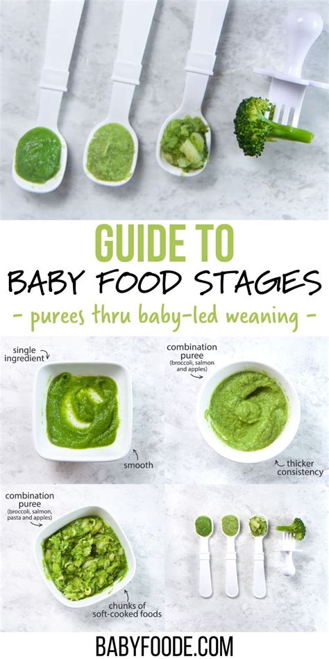 Guide to baby food stages – Artofit