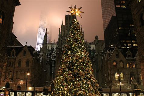 St. Patrick's Cathedral behind the Christmas Tree Photograph by Catie ...