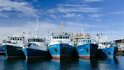 Everything to Know About Fishing Vessels - Martide