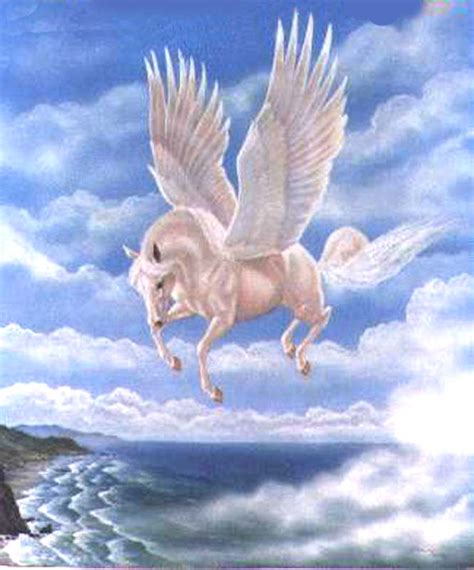 Pegasus, Medusa and Bellerophon Story and Myth ~ The About