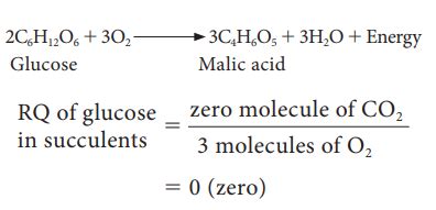 Respiratory Quotient (RQ) in Plant - Formula, Significance, Experiment