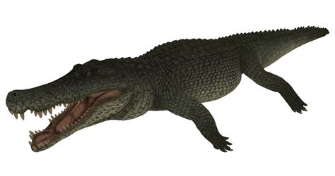 Deinosuchus Skins Released