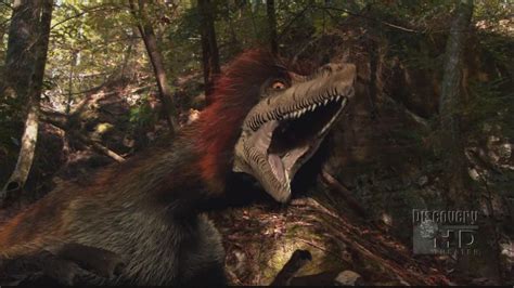 Dromaeosaurus/Gallery | Dinopedia | FANDOM powered by Wikia