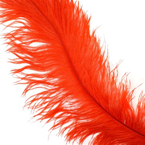 Ostrich Feathers Red Ostrich Feather Spads 18-24 | Etsy