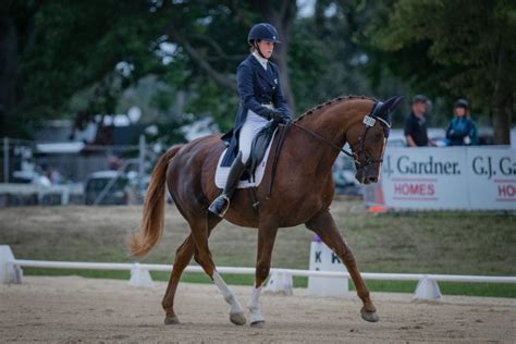 Young Rider Dressage Team Selected for Queensland | ESNZ