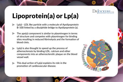 Lipoprotein Biomarkers and Heart Disease - DrJockers.com