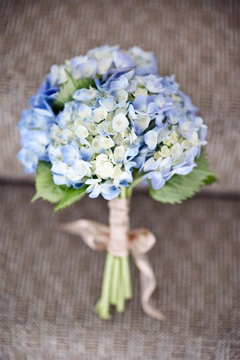 20+ Classic Hydrangea Wedding Bouquets 2024 | Deer Pearl Flowers