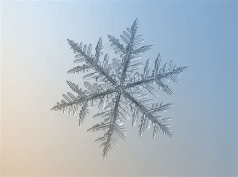 These Are The Star-Shaped Snowflakes That Fell All Over The East Coast ...