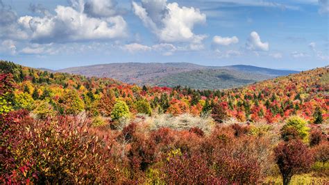 When to expect fall colors to peak | VTx | Virginia Tech