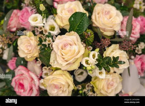 mountains and a breathtaking view Stock Photo - Alamy