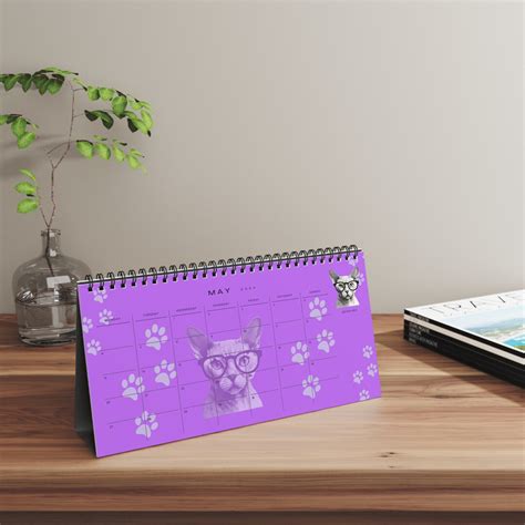 2024 Calendar 2024 Cats Desk Calendar Cats Wearing Glasses Desk ...