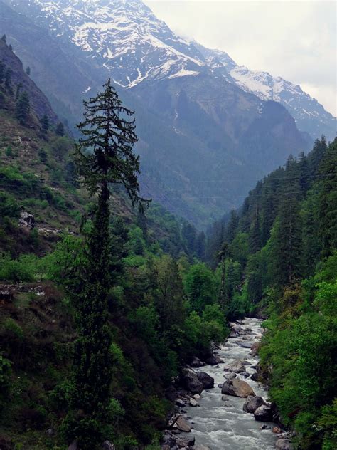 Himalayan Trail : The Parvati Valley Trek - Tripoto