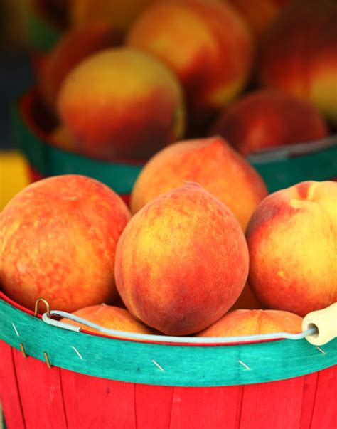 McLeod Farms Peach Festival | Local News | scnow.com