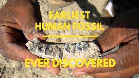 Oldest Human Fossil Ever Found Is Redrawing The Human Timeline