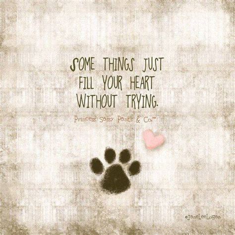 Love Your Pet Quotes - IRUBLY