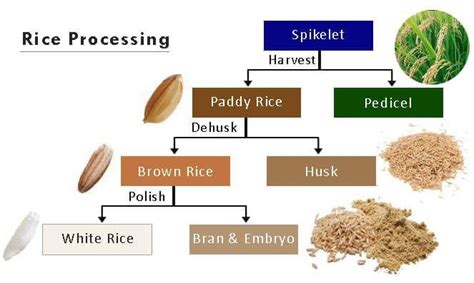 Rice Milling Process Flow Chart