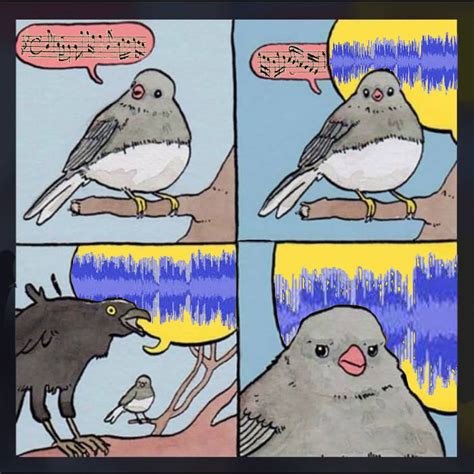 Why the Screaming Crow Meme is Hilariously Relatable