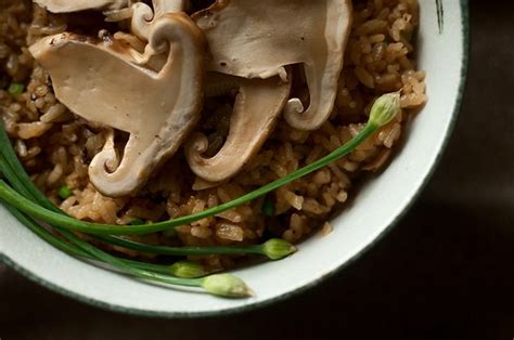 Matsutake Mushroom Soup Recipe | Stuffed mushrooms, Mushroom rice recipes, Recipes