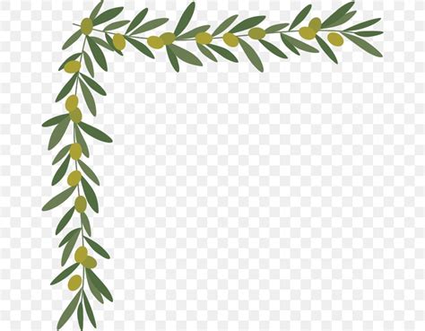 Borders And Frames Olive Leaf Twig Clip Art, PNG, 660x640px, Borders And Frames, Branch, Flora ...