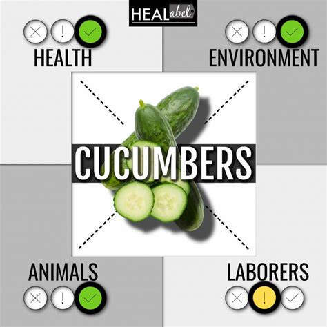 Cucumber Benefits, Side Effects: Are They Low Fodmap? Acidic?