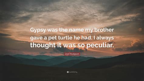 Joel Hodgson Quote: “Gypsy was the name my brother gave a pet turtle he ...