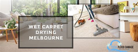 Wet Carpet Drying: How to Quickly and Easily Remove Water from Your Carpet? | Total Flood Damage ...