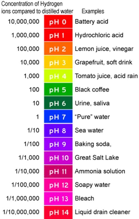 pH of Water- Everything You Need To Know