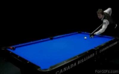 Pool GIF - Find & Share on GIPHY