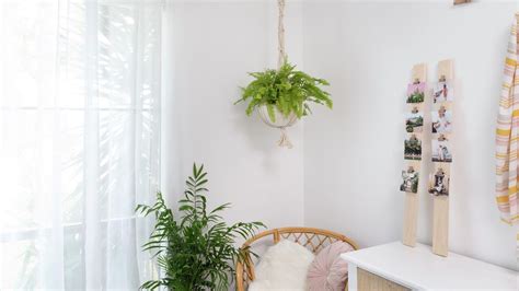 Macrame Hanging Plants