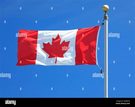 Canadian Flag waving in the wind Stock Photo - Alamy