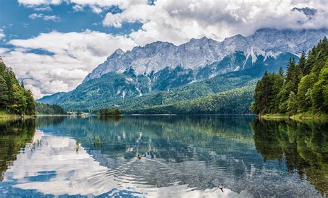 Wallpaper : lake, reflection, Germany, Bavaria, duck ...