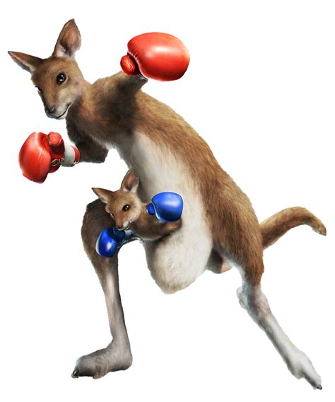 Kangaroo Roger Tekken PNG Image | PNG Mart