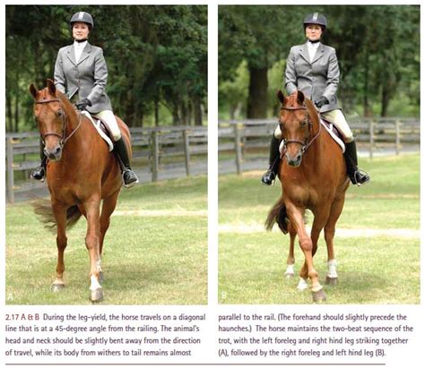 Lateral Exercises at the Walk and Trot :: Anna Mullin