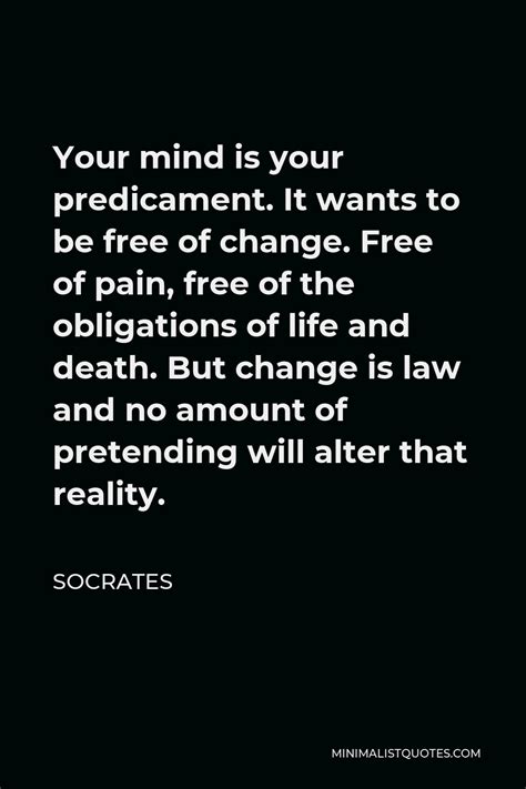 100+ Socrates Quotes That Will Change Your Mind