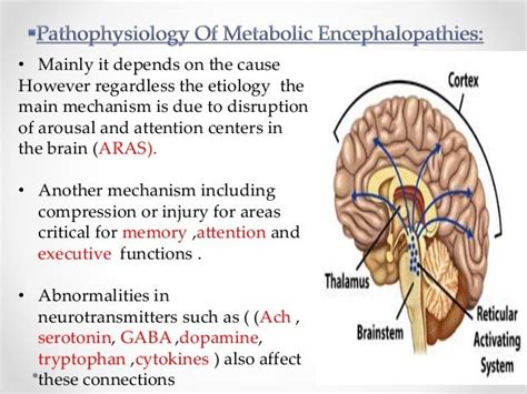 Metabolic encephalopathies 2