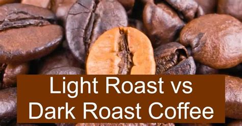 Light Roast vs Dark Roast Coffee Beans - What are the differences?