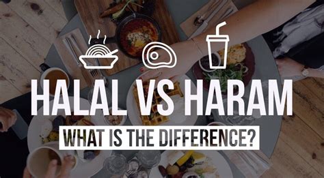 Halal vs Haram Food - What Is The Difference? | Halal, Haram, Food