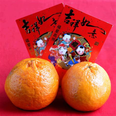 Chinese New Year Traditions and the Year of the Dragon - Jeanette's ...