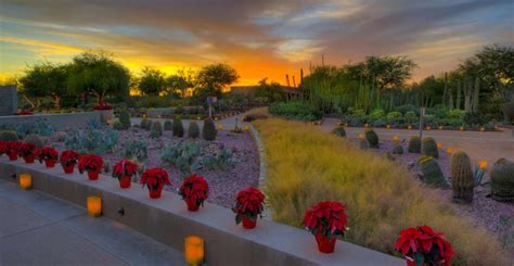 Desert Botanical Garden - Las Noches de las Luminarias - Blog Stories