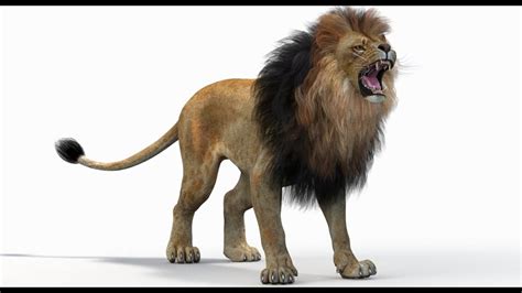 Lion 3d Model Free Download Maya