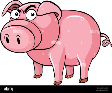 Pig with angry face illustration Stock Vector Image & Art - Alamy